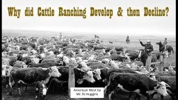 Why did Cattle Ranching