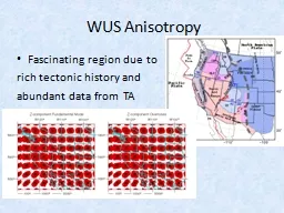WUS Anisotropy