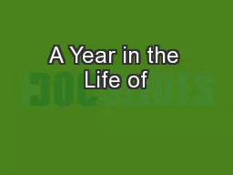 A Year in the Life of