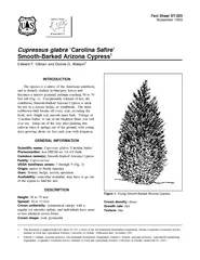 Fact Sheet ST November  Cupressus glabra Carolina Safi