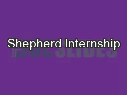 Shepherd Internship