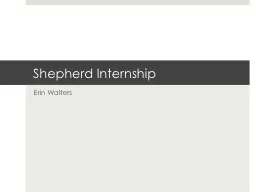 Shepherd Internship