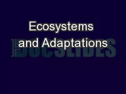 Ecosystems and Adaptations