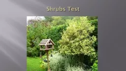 Shrubs Test