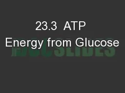 23.3  ATP Energy from Glucose