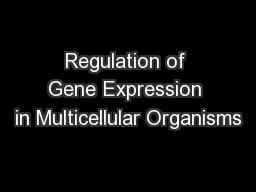 Regulation of Gene Expression in Multicellular Organisms