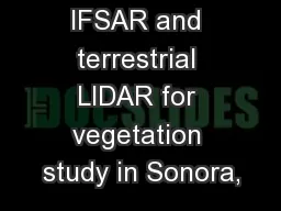 IFSAR and terrestrial LIDAR for vegetation study in Sonora,