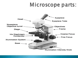 Microscope parts:
