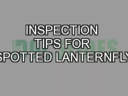 INSPECTION TIPS FOR SPOTTED LANTERNFLY