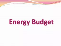 Energy Budget