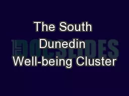 The South Dunedin Well-being Cluster