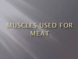 Muscles used for meat