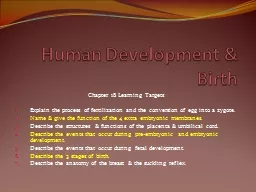 Human Development & Birth