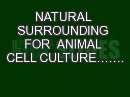 NATURAL SURROUNDING FOR  ANIMAL CELL CULTURE…….