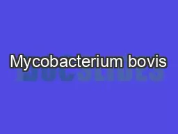 Mycobacterium bovis
