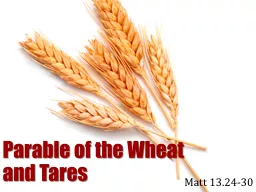 Parable of the Wheat and Tares