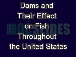 Dams and Their Effect on Fish Throughout the United States