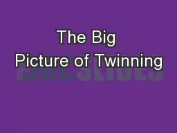 The Big Picture of Twinning