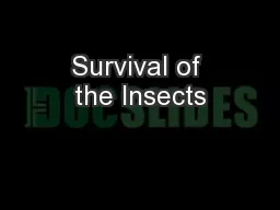 Survival of the Insects