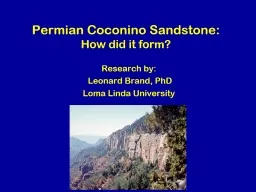 Permian Coconino Sandstone: