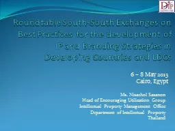 Roundtable South-South Exchanges on Best Practices for the