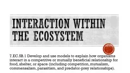 Interaction Within the Ecosystem