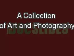 A Collection of Art and Photography