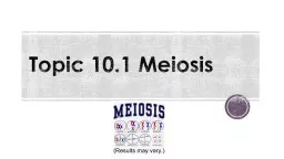 Topic 10.1 Meiosis