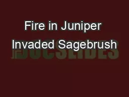 Fire in Juniper Invaded Sagebrush