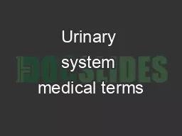 Urinary system medical terms
