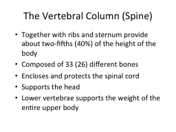 The Vertebral Column (Spine)