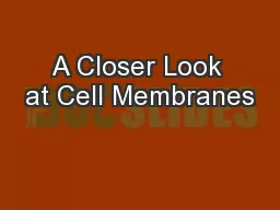 A Closer Look at Cell Membranes