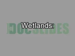 Wetlands: