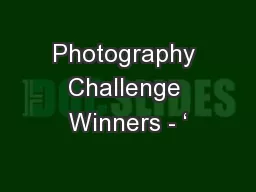 Photography Challenge Winners - ‘