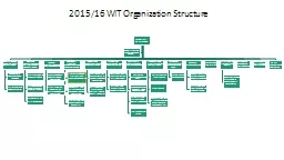 2015/16 WIT Organization Structure