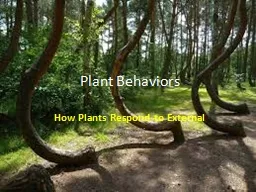 Plant Behaviors