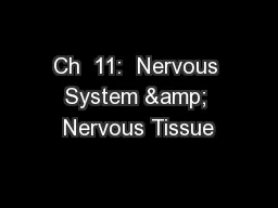 Ch  11:  Nervous System & Nervous Tissue