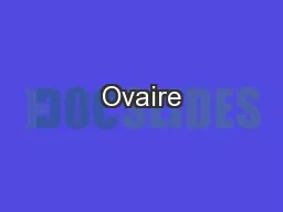 Ovaire