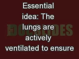 Essential idea: The lungs are actively ventilated to ensure