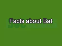 Facts about Bat