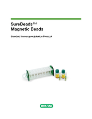 SureBeads Magnetic Beads Standard Immunoprecipitation