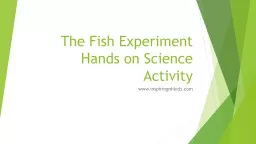 The Fish Experiment