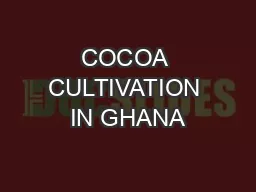 COCOA CULTIVATION IN GHANA