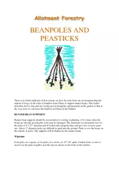 BEANPOLES AND PEASTICKS There is no better indicator o