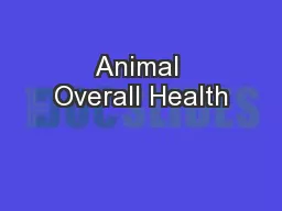 Animal Overall Health