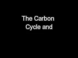The Carbon Cycle and