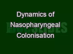 Dynamics of Nasopharyngeal Colonisation & Correlations