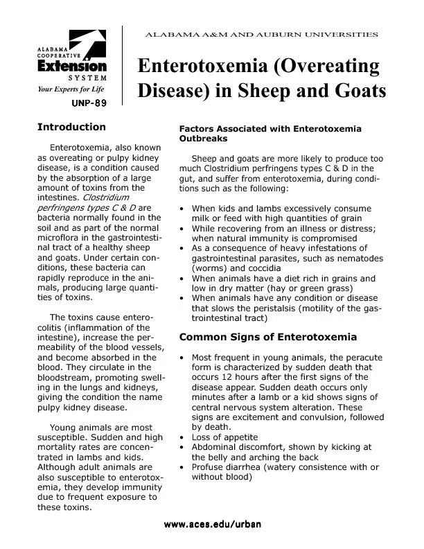 	

	#
@
'$		