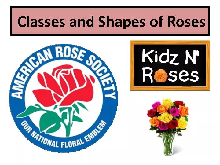 Classes and Shapes of Roses