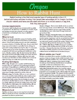 How to Rabbit Hunt